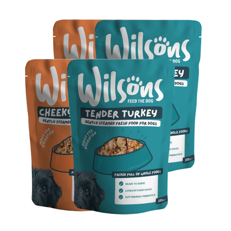 All Full Sized Dog Food